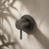 DEVIATORE-MURO-LEVANTE-CANNA-FUCILE DEVIATORE MURO LEVANTE CANNA FUCILE Ambientata 1 100x100